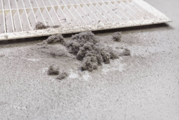 Best Dryer Vent Cleaning Services  in Marion, MS